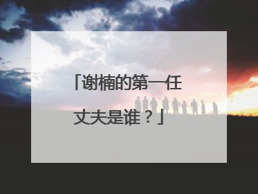 谢楠的第一任丈夫是谁？