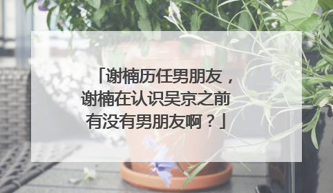 谢楠历任男朋友,谢楠在认识吴京之前有没有男朋友啊?