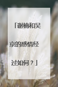 谢楠和吴京的感情经过如何?