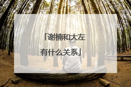 谢楠和大左有什么关系