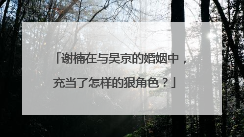 谢楠在与吴京的婚姻中，充当了怎样的狠角色？
