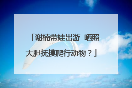 谢楠带娃出游 晒照大胆抚摸爬行动物?