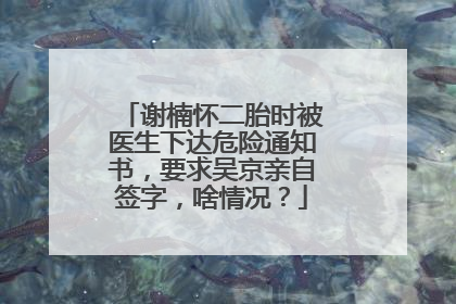 谢楠怀二胎时被医生下达危险通知书，要求吴京亲自签字，啥情况？