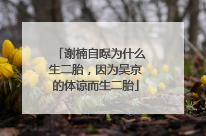 谢楠自曝为什么生二胎，因为吴京的体谅而生二胎
