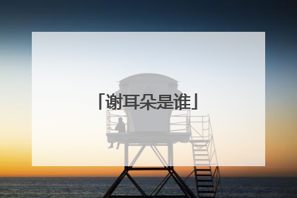谢耳朵是谁