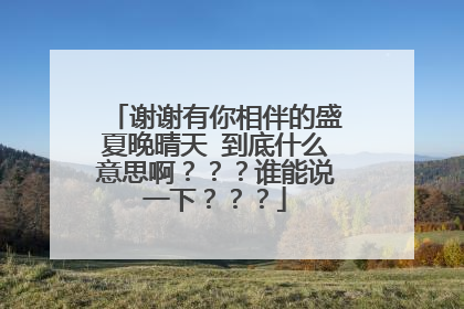 谢谢有你相伴的盛夏晚晴天 到底什么意思啊？？？谁能说一下？？？