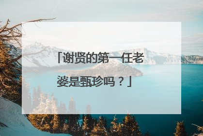谢贤的第一任老婆是甄珍吗？