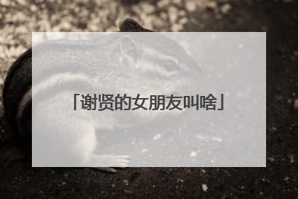 谢贤的女朋友叫啥