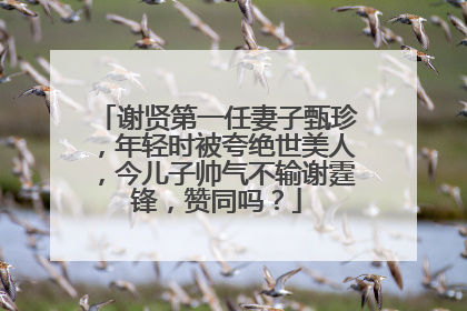 谢贤第一任妻子甄珍，年轻时被夸绝世美人，今儿子帅气不输谢霆锋，赞同吗？