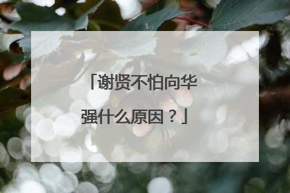 谢贤不怕向华强什么原因?