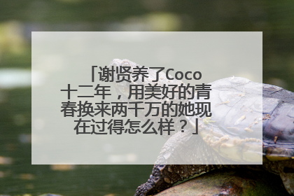 谢贤养了Coco十二年,用美好的青春换来两千万的她现在过得怎么样?