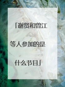 谢贤和曾江等人参加的是什么节目