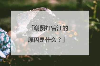 谢贤打曾江的原因是什么？