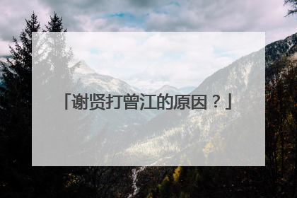 谢贤打曾江的原因？