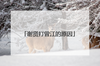 谢贤打曾江的原因