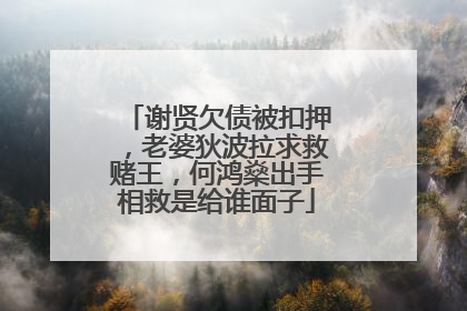 谢贤欠债被扣押，老婆狄波拉求救赌王，何鸿燊出手相救是给谁面子