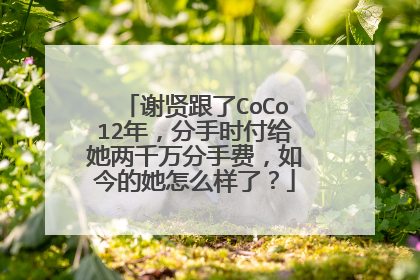 谢贤跟了CoCo12年,分手时付给她两千万分手费,如今的她怎么样了?