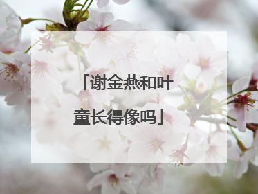 谢金燕和叶童长得像吗