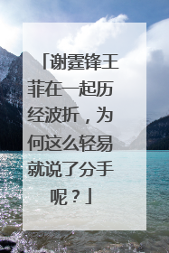 谢霆锋王菲在一起历经波折,为何这么轻易就说了分手呢?
