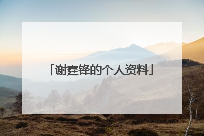 谢霆锋的个人资料