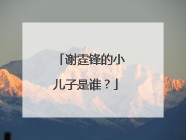 谢霆锋的小儿子是谁？