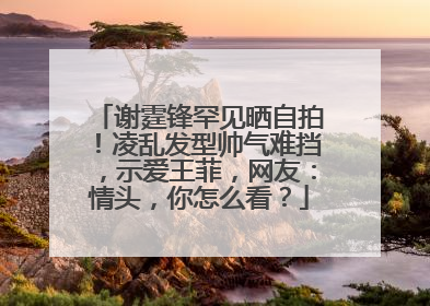 谢霆锋罕见晒自拍！凌乱发型帅气难挡，示爱王菲，网友：情头，你怎么看？