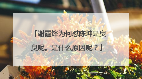 谢霆锋为何怼陈坤是臭臭呢。是什么原因呢？