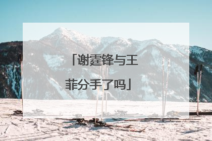 谢霆锋与王菲分手了吗