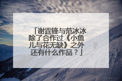 谢霆锋与范冰冰除了合作过《小鱼儿与花无缺》之外还有什么作品？