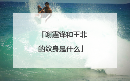 谢霆锋和王菲的纹身是什么