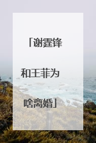 谢霆锋和王菲为啥离婚