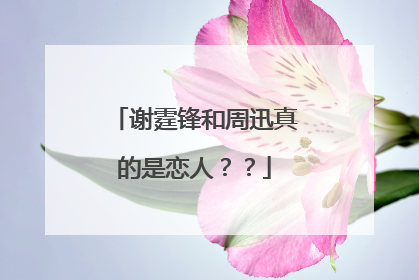 谢霆锋和周迅真的是恋人??