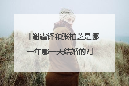 谢霆锋和张柏芝是哪一年哪一天结婚的?