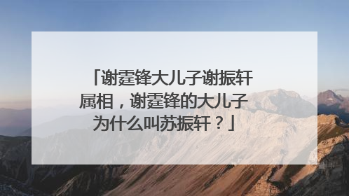 谢霆锋大儿子谢振轩属相,谢霆锋的大儿子为什么叫苏振轩?