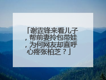 谢霆锋来看儿子，帮前妻拎包带娃，为何网友却直呼心疼张柏芝？