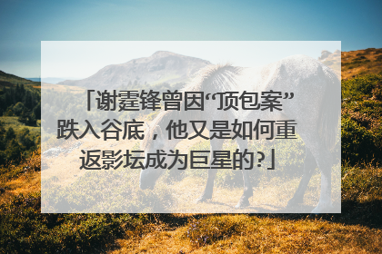 谢霆锋曾因“顶包案”跌入谷底，他又是如何重返影坛成为巨星的?