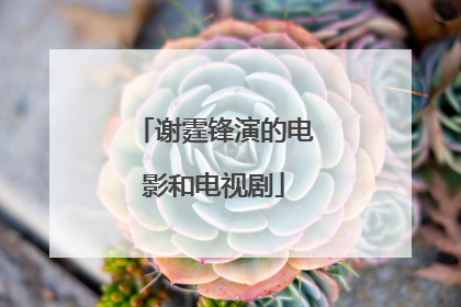 谢霆锋演的电影和电视剧