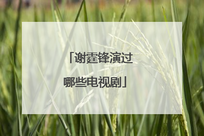 谢霆锋演过哪些电视剧