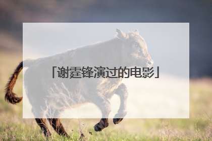 谢霆锋演过的电影