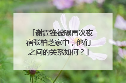 谢霆锋被曝再次夜宿张柏芝家中,他们之间的关系如何?