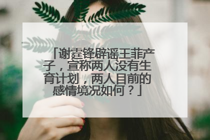 谢霆锋辟谣王菲产子，宣称两人没有生育计划，两人目前的感情境况如何？