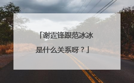 谢霆锋跟范冰冰是什么关系呀？