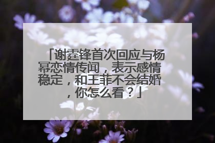 谢霆锋首次回应与杨幂恋情传闻,表示感情稳定,和王菲不会结婚,你怎么看?