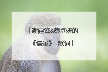 谢霆锋&蔡卓妍的《情圣》 歌词