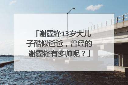 谢霆锋13岁大儿子酷似爸爸,曾经的谢霆锋有多帅呢?