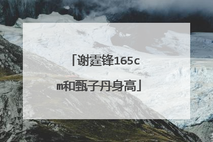 谢霆锋165cm和甄子丹身高