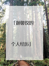 谢馨仪的个人经历