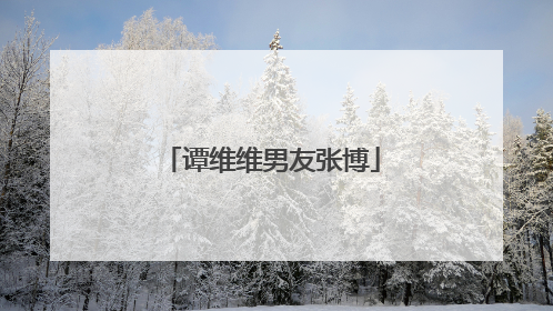 谭维维男友张博