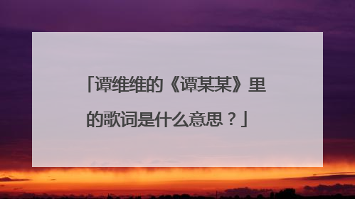 谭维维的《谭某某》里的歌词是什么意思?