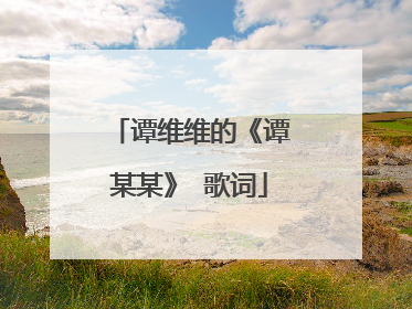 谭维维的《谭某某》 歌词